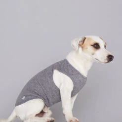 Pull Fin Pour Chien Agnes -Hariet & Rosie body agnes 1