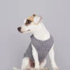 Pull Fin Pour Chien Agnes