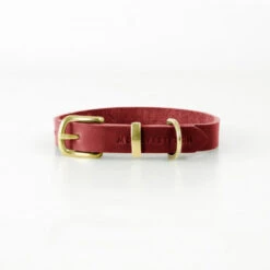 Collier Pour Chien En Cuir Souple The Classic 25 Collier Pour Chien En Cuir Souple The Classic -Hariet & Rosie butter dog collar chili red
