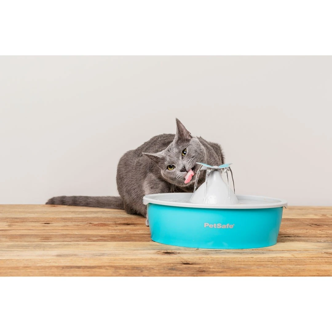 PetSafe Fontaine à Eau Butterfly Drinkwell – Image 2