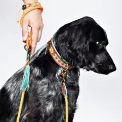 Laisse En Corde Dwam (8 Couleurs) -Hariet & Rosie carrot cake hondenriem l dog leash l 7000 en G