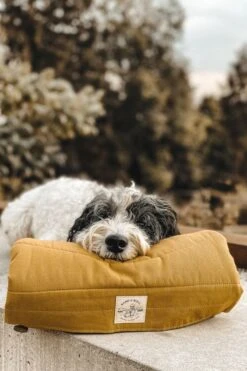 Matelas De Voyage Pour Chien Enroulable Compass Band & Roll -Hariet & Rosie cf04a81573bc75b8c31670d4c7ac9c8f