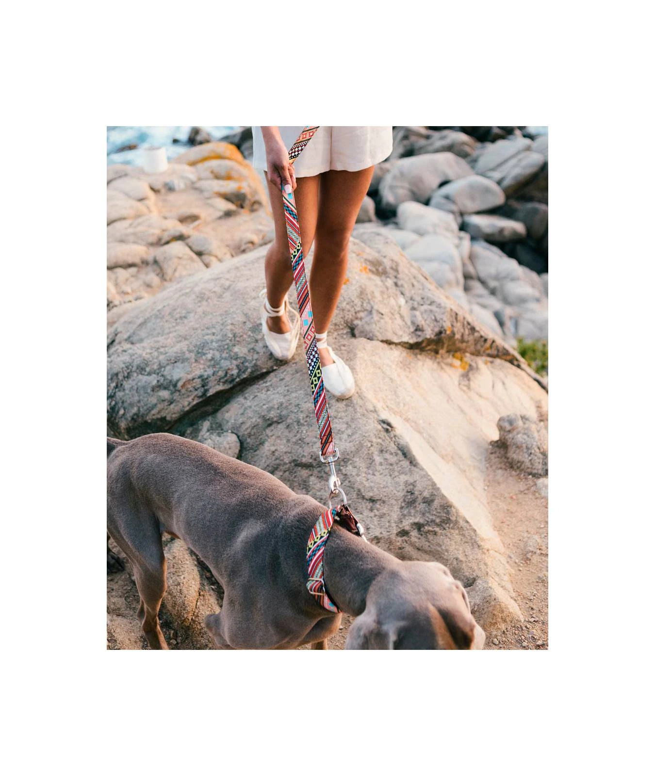 Collier Pour Chien Escranc 2 Collier Pour Chien Escranc – Image 2