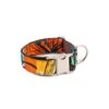 Collier Pour Chien Portlligat Tropical