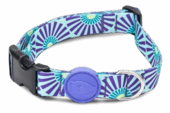 Collier Pour Chien Colored Sun