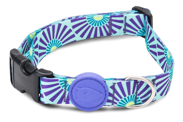 Collier Pour Chien Colored Sun
