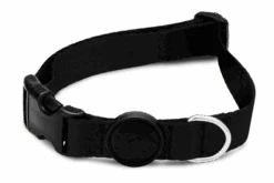 Collier Pour Chien Gold Caviar -Hariet & Rosie collare pureness header top transparent c