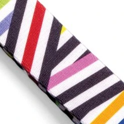 Collier Pour Chien Spaghetti -Hariet & Rosie collare spaghetti incident mini gallery 03 v2