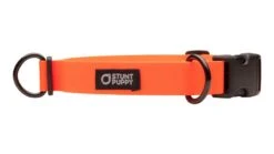 Collier Pour Chien Imperméable En Biothane -Hariet & Rosie dc orange 1024x1024 c7e423b9 9f34 4ad0 b6f8 9f419bb05015