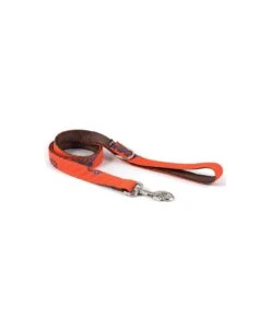 Collier Pour Chien Bohème Batea -Hariet & Rosie dog collar brottdog textura batea 39b216ca 52f7 4863 b2b2 46ff3aca9036