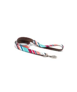 Collier Pour Chien Morisca Classique Et Martingale 6 Collier Pour Chien Morisca Classique Et Martingale -Hariet & Rosie dog collar brottdog textura morisca 42597f3d eb85 41f6 9727 3aaab72dddba