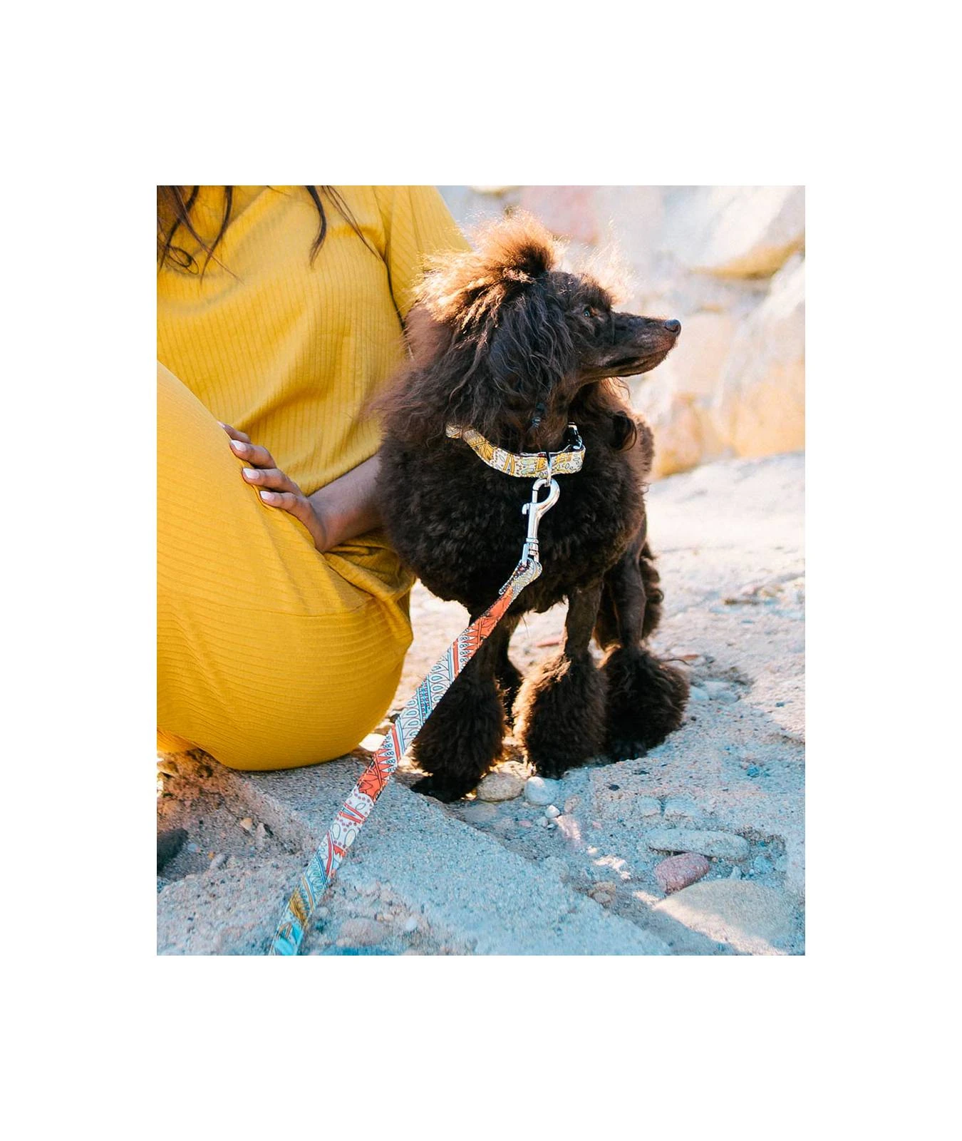 Laisse Pour Chien Sacaleta 2 Laisse Pour Chien Sacaleta – Image 2