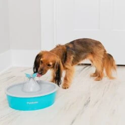 PetSafe Fontaine à Eau Butterfly Drinkwell -Hariet & Rosie dogdrinkingfountain 1024x1024 2x e345ba43 8a0c 432d 8900 3ca3b79a11b2