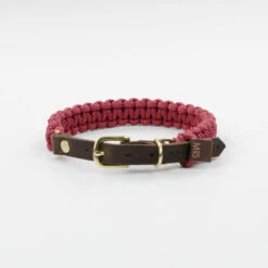 Collier Pour Chien En Corde Marine Sangle Cuir 14 Collier Pour Chien En Corde Marine Sangle Cuir -Hariet & Rosie dsc 0224 1