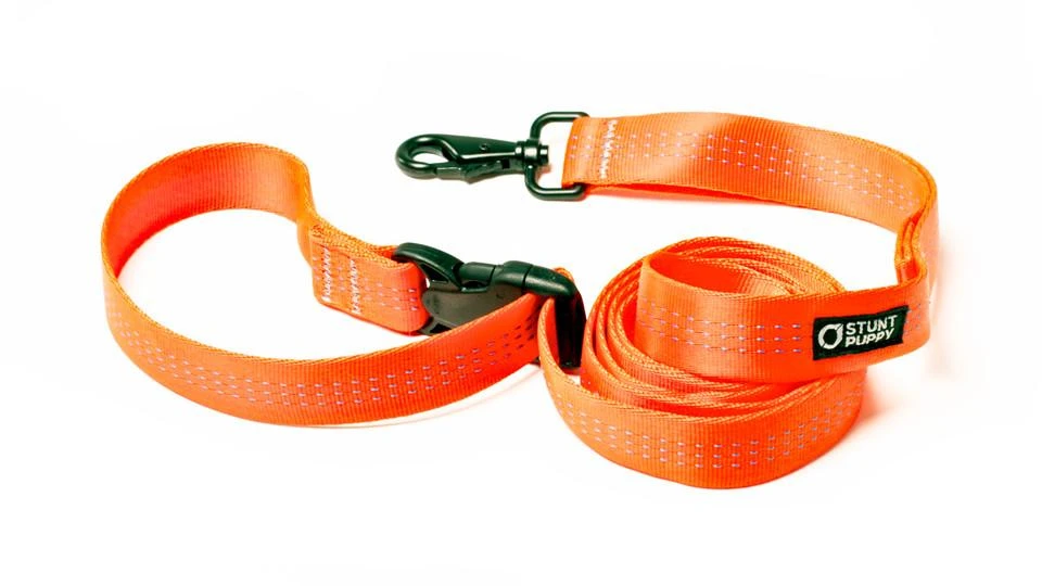 Laisse Souple Everyday (3 Couleurs) 3 Laisse Souple Everyday (3 Couleurs) – Image 3