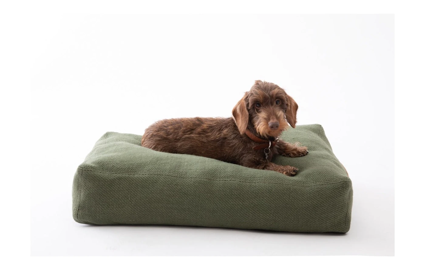 Coussin Pour Chien Elliott En Fibre De Jute (4 Couleurs) 5 Coussin Pour Chien Elliott En Fibre De Jute (4 Couleurs) – Image 5