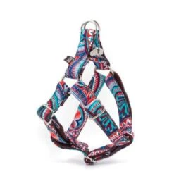 Harnais Parachute Pour Chien Estartit