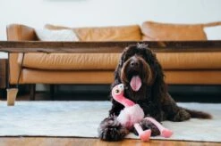 PLAY Peluche Flora Le Flamant Rose -Hariet & Rosie fetching flock flora the flamingo toy lifestyle image 2