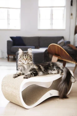 Griffoir Pour Chat Design LUI My Kotty -Hariet & Rosie fuji oti 24 1