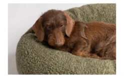 Coussin Apaisant Pour Chien En Laine -Hariet & Rosie fulvio wool cushions abba2ee1 7ecc 4a5a a15c 969544bd6308