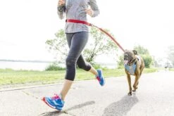 Harnais De Running Pour Chien -Hariet & Rosie gdg ha img02b 720x 9793ec3d b28b 4bf2 84c1 e1b0b67bc0ca