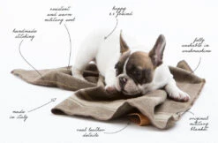 Couverture En Laine Recyclée Ansel Duepuntootto -Hariet & Rosie grafiche con scritte 16 orig