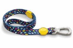 Laisse Color Invaders