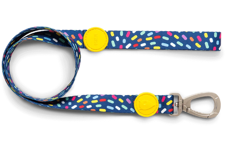 Laisse Color Invaders – Image 2