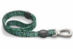 Laisse Rage Labyrinth