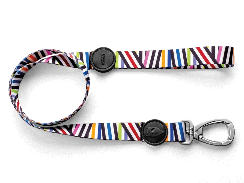 Laisse Spaghetti 1 Laisse Spaghetti