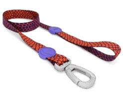 Laisse Urban Lizard -Hariet & Rosie guinzaglio urban lizard header img03