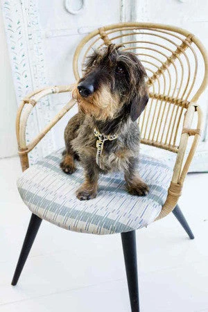 Harnais Grill See Scout Sleep 4 Harnais Grill See Scout Sleep – Image 4