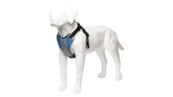Harnais De Running Pour Chien -Hariet & Rosie harness blue 3 4 720x b90d0fc6 6902 47b9 82de 4d733c20e99a