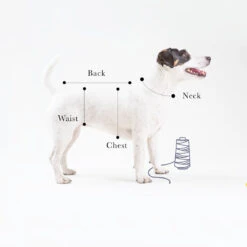 T-shirt En Jersey -Hariet & Rosie il 1140xN.2039601364 oqle