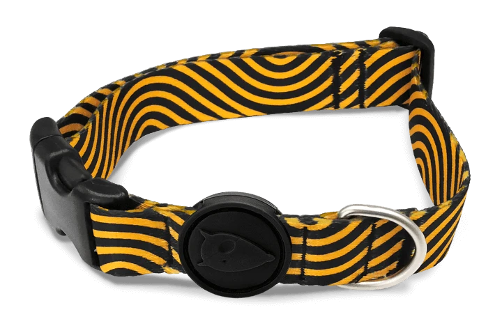 Collier Pour Chien Must-Hard Maze 1 Collier Pour Chien Must-Hard Maze