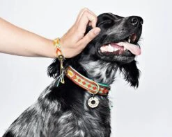 Collier En Cuir Paddy Lee Dwam -Hariet & Rosie image 21e98f3d 92a5 48de bb06 03c18f7bad34