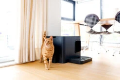 Bac à Litière Pour Chat Hoopo Dome Plus -Hariet & Rosie image 4344ce67 f84c 4d41 b1a6 44ece2fdbffd