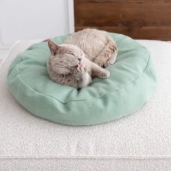 Lit De Luxe Pour Chat Donut -Hariet & Rosie image 597c67ed 3652 4cd9 9091 b5c826bb4c96