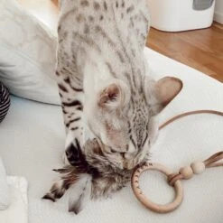 Jouet Pour Chat Musse -Hariet & Rosie image 6e6f79df 82f1 456c a7d6 12b295aa4834