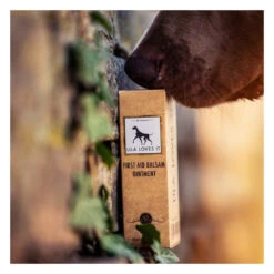 Sérum Premiers Soins Pour Chien Et Chat -Hariet & Rosie image 9e0456c3 c897 4394 945c f324549d4041