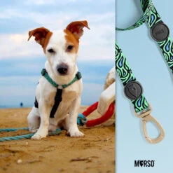 Harnais En H Pour Chien Rage Labyrinth -Hariet & Rosie image af697aea d338 40d3 8ab0 6fca5a1dfbe2