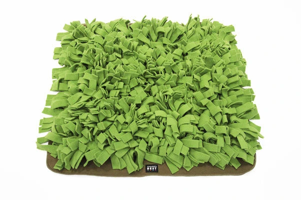 Tapis De Fouille Gazon Schnüffelrasen 1 Tapis De Fouille Gazon Schnüffelrasen