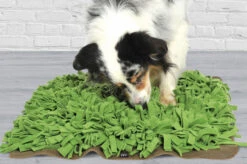 Tapis De Fouille Gazon Schnüffelrasen 7 Tapis De Fouille Gazon Schnüffelrasen -Hariet & Rosie image b79f824c fdab 44fd a29b 8e1f14c77a04