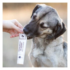 Dentifrice Naturel Pour Chien Et Chat -Hariet & Rosie image ee74d3ba 367b 4988 9f23 101814c9767e