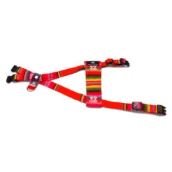 Harnais Pour Chien Inca Orange -Hariet & Rosie inca orange dog harness flat web 450x450 13caefbf 053c 44cf b33d 7a0ff0d3ec19