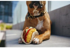 PLAY Peluche Tacos Pour Chien Collection International Classic -Hariet & Rosie international classic toy collection by p.l.a.y. tail wagging taco
