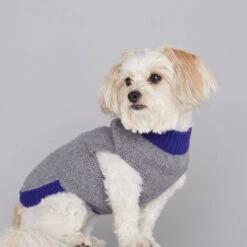 Pull En Laine Pour Chien Mark -Hariet & Rosie jersey mark r gris