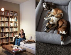 Panier Pour Chien Tweed Gris Clair Sleepy Deluxe 7 Panier Pour Chien Tweed Gris Clair Sleepy Deluxe -Hariet & Rosie katharina von der leyen luise harry fritz gretel sleepy deluxe