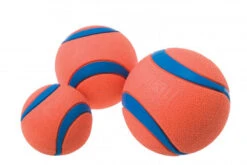 Chuckit! Balle De Lanceur Chuckit
