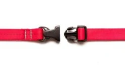 Laisse Souple Everyday (3 Couleurs) 10 Laisse Souple Everyday (3 Couleurs) -Hariet & Rosie laisse2